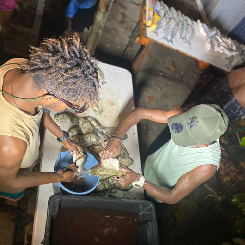 𝙂𝙤 𝙢𝙖𝙧𝙚𝙩🇵🇬