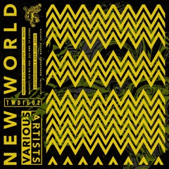 VA - New World Vol.2 (TWDIG02) Snippets