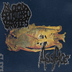 ASSFACE/BSB SPLIT (ASSFACE TRACKS) (2024) (MINCEGORE/GOREGRIND)