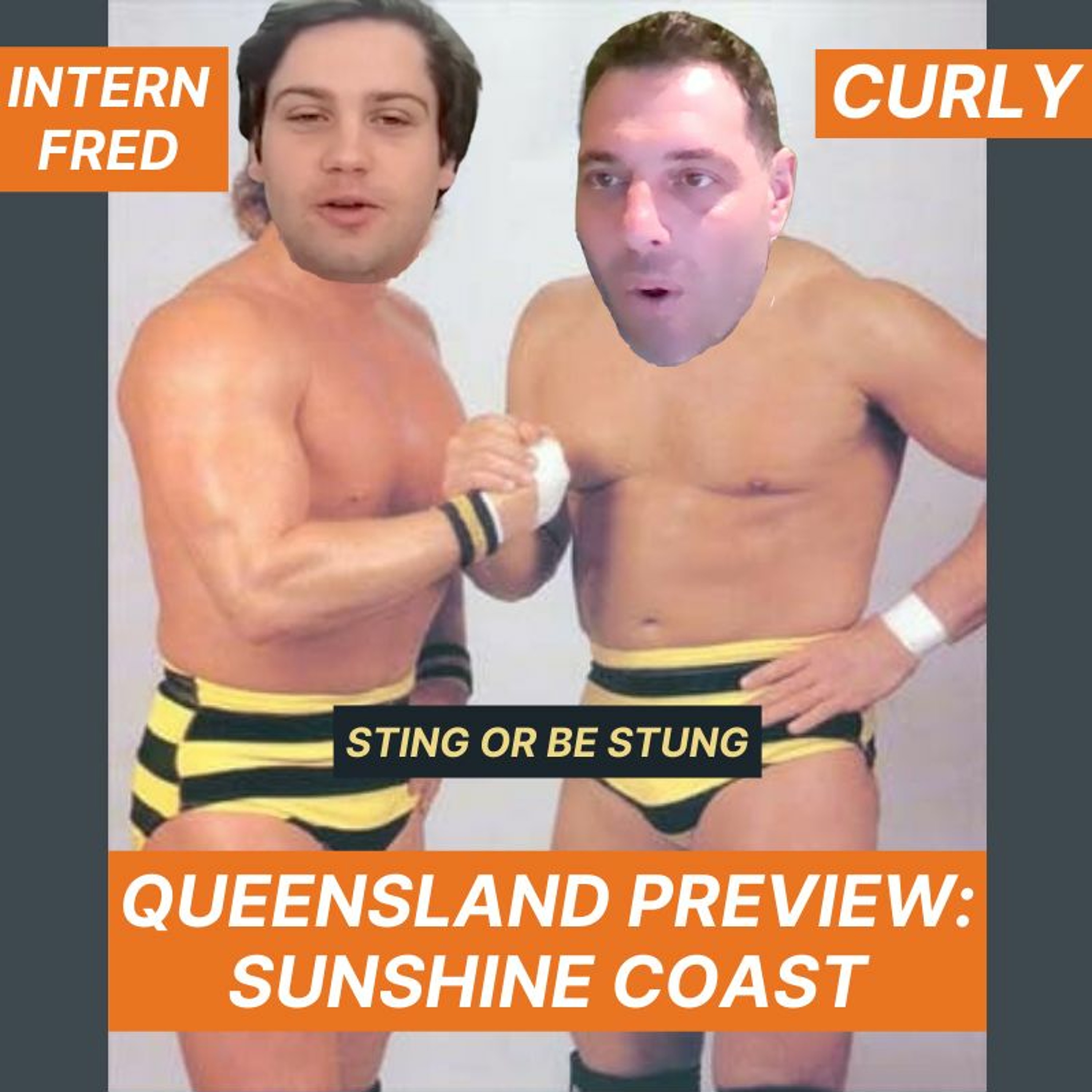 QLD Preview: Sunshine Coast | Bloodstock episode artwork
