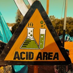 R.A.V.E. ACID TEKNO TRIBE HITEK PSYTRANCE MASS OVER 11-12-13-OKTBR 2K24