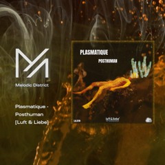 PREMIERE: Plasmatique - Posthuman [Luft & Liebe]