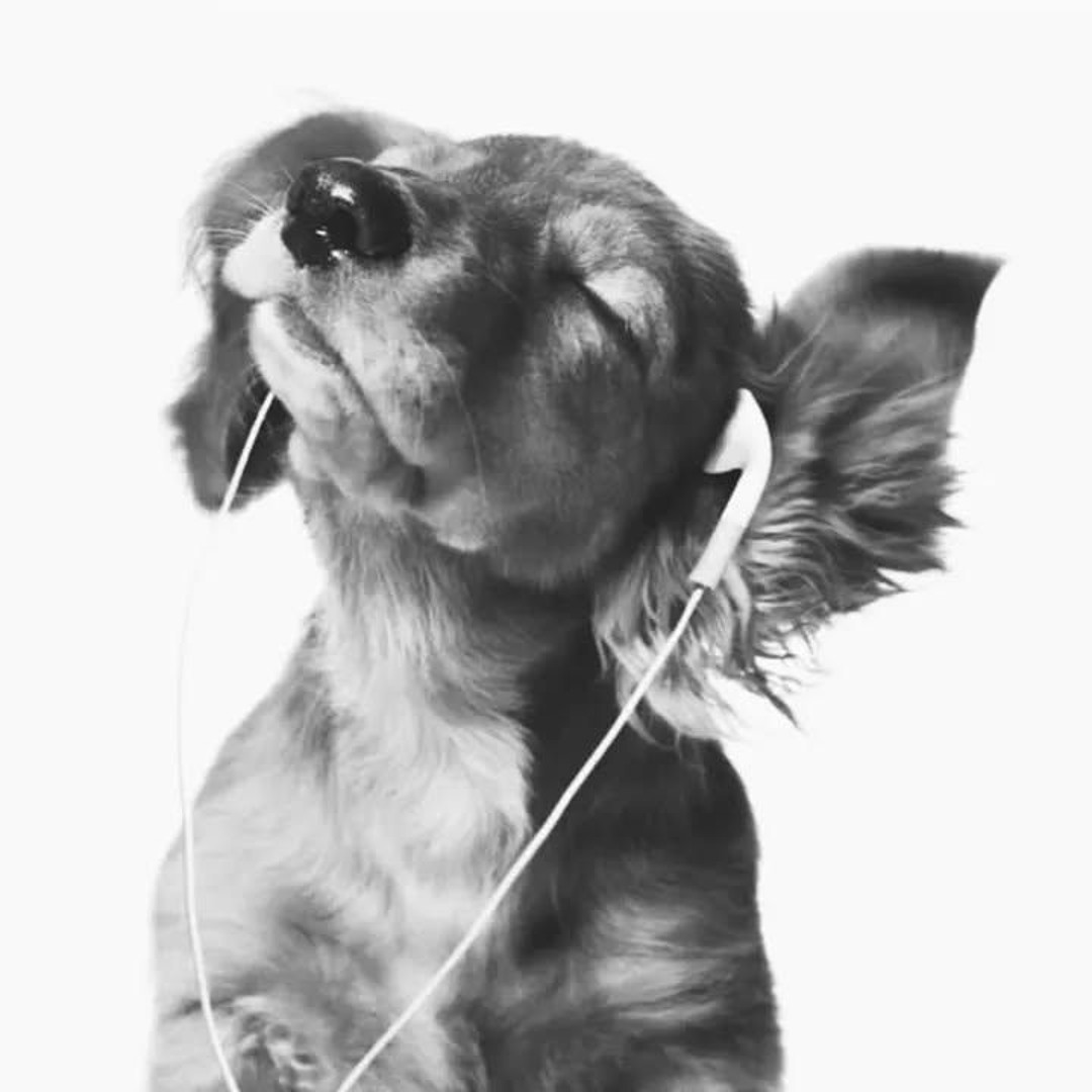 Stream xxerrox | Listen to him playlist online for free on SoundCloud