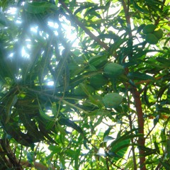 HeartSpace Meditation