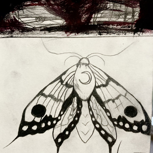 Moth (Prod. By Snapp Beats)