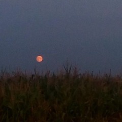 i knew better (prod. 1prodave x yaseer.prod.wav)