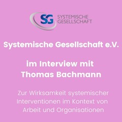 Systemische Gesellschaft e.V. im Interview mit Thomas Bachmann