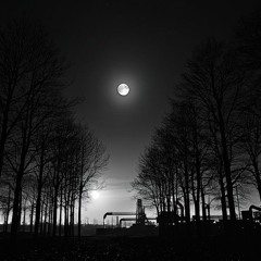 Horts Ràdio > Halloween Flow > Curat x Inclu Shiva > 01DES2025