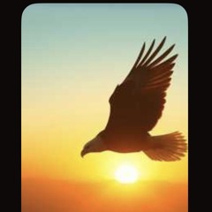 в-серці-світло