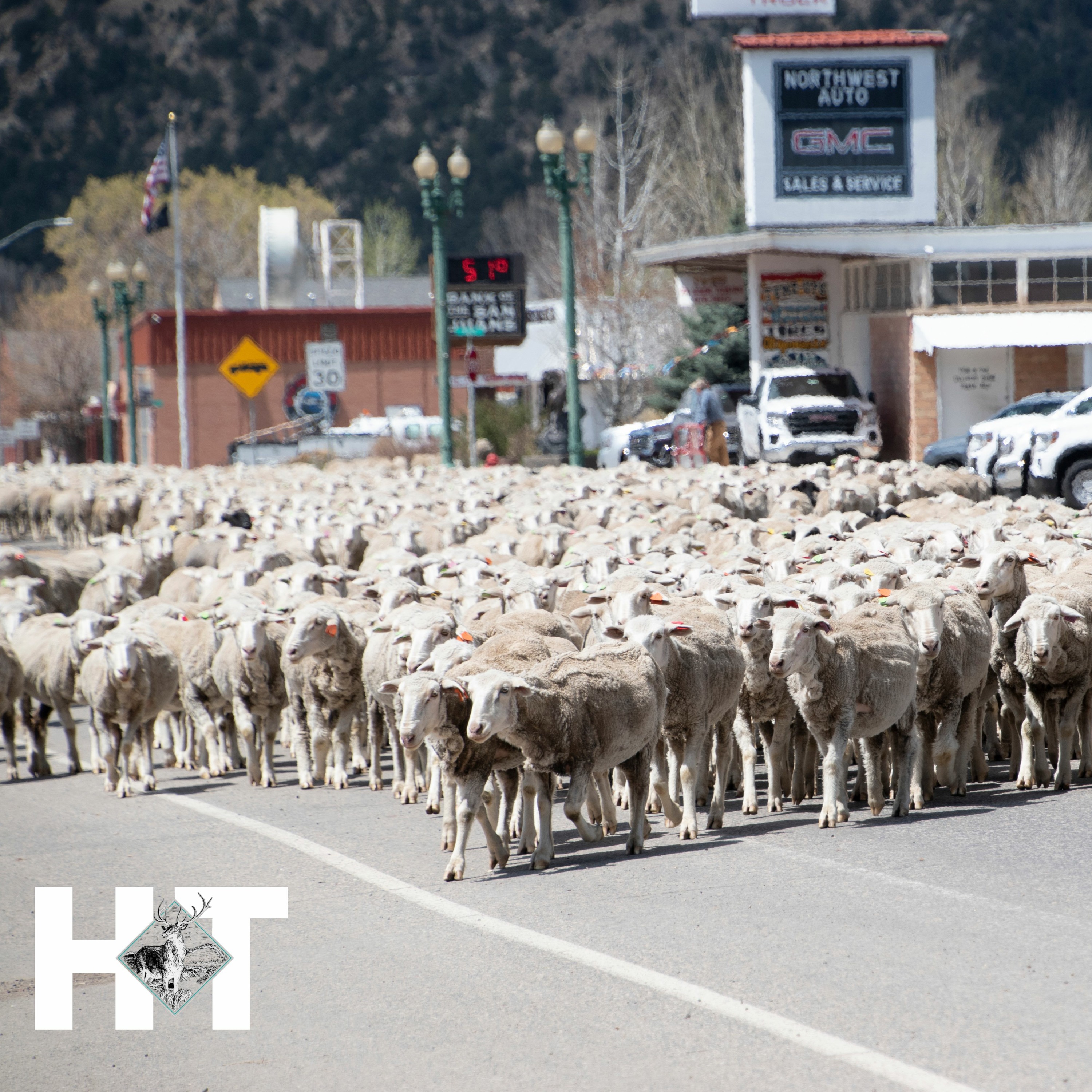 Rio Blanco County News