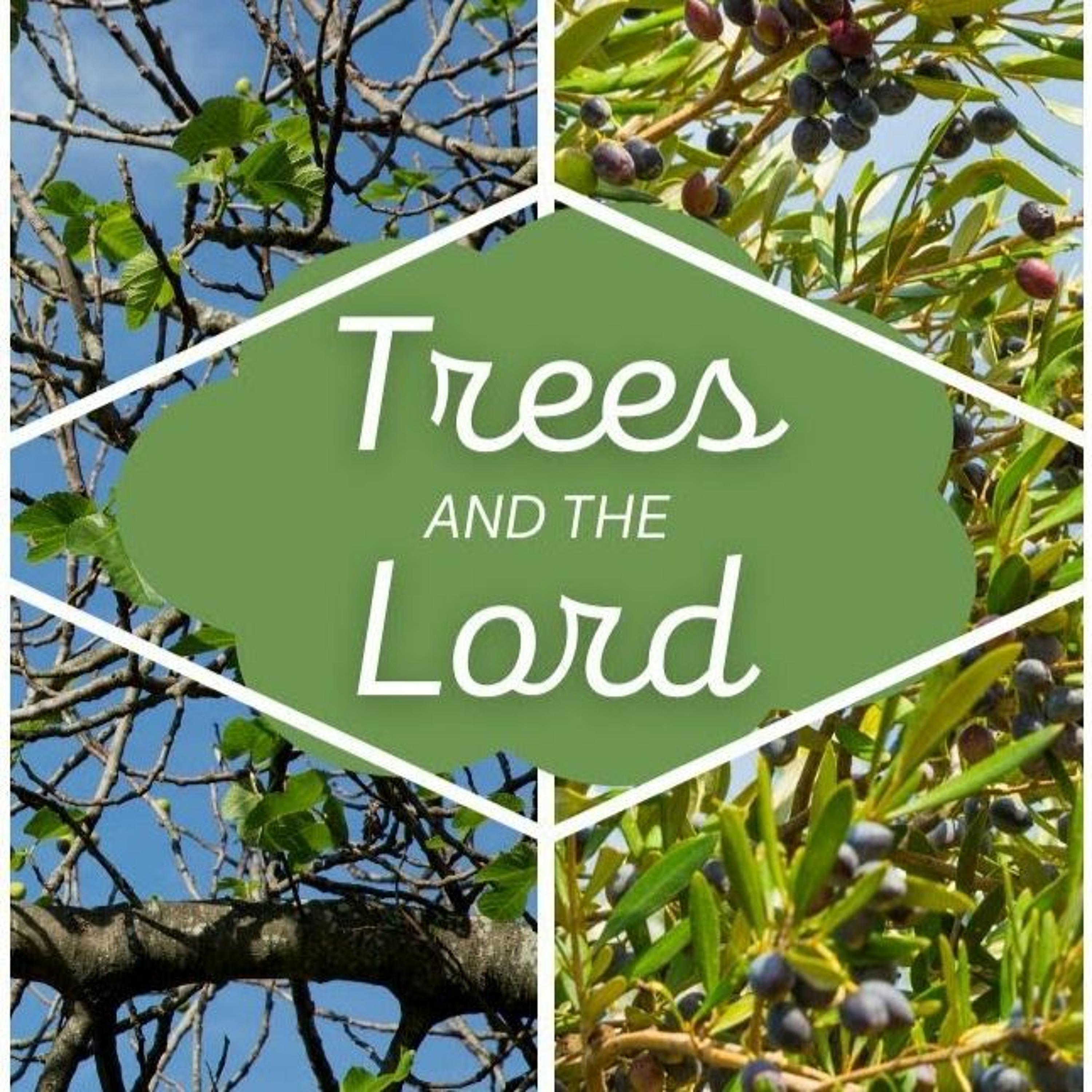 Trees and the Lord // Pas Subash Cherian episode artwork