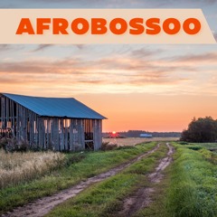 AFROBOSSOO | Amapiano, afrohouse, gqom, vibes | VINYL ONLY DJ MIX