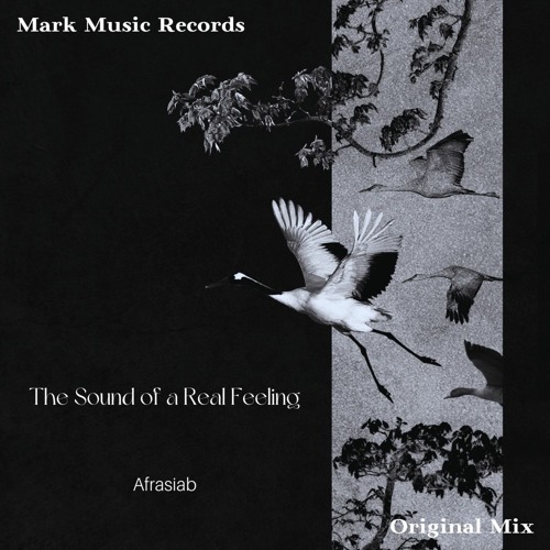 Afrasiab - The Sound Of A Real Feeling
