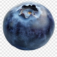 who is🤣🤣damn is