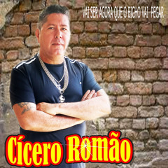 Vai Ser Agora o Bicho Vai Pegar