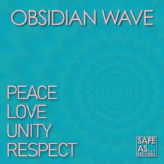 Peace, Love, Unity, Respect (Original Mix)