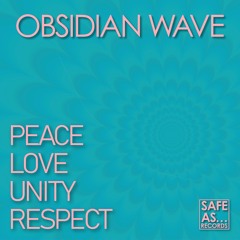 Peace, Love, Unity, Respect (Original Mix)