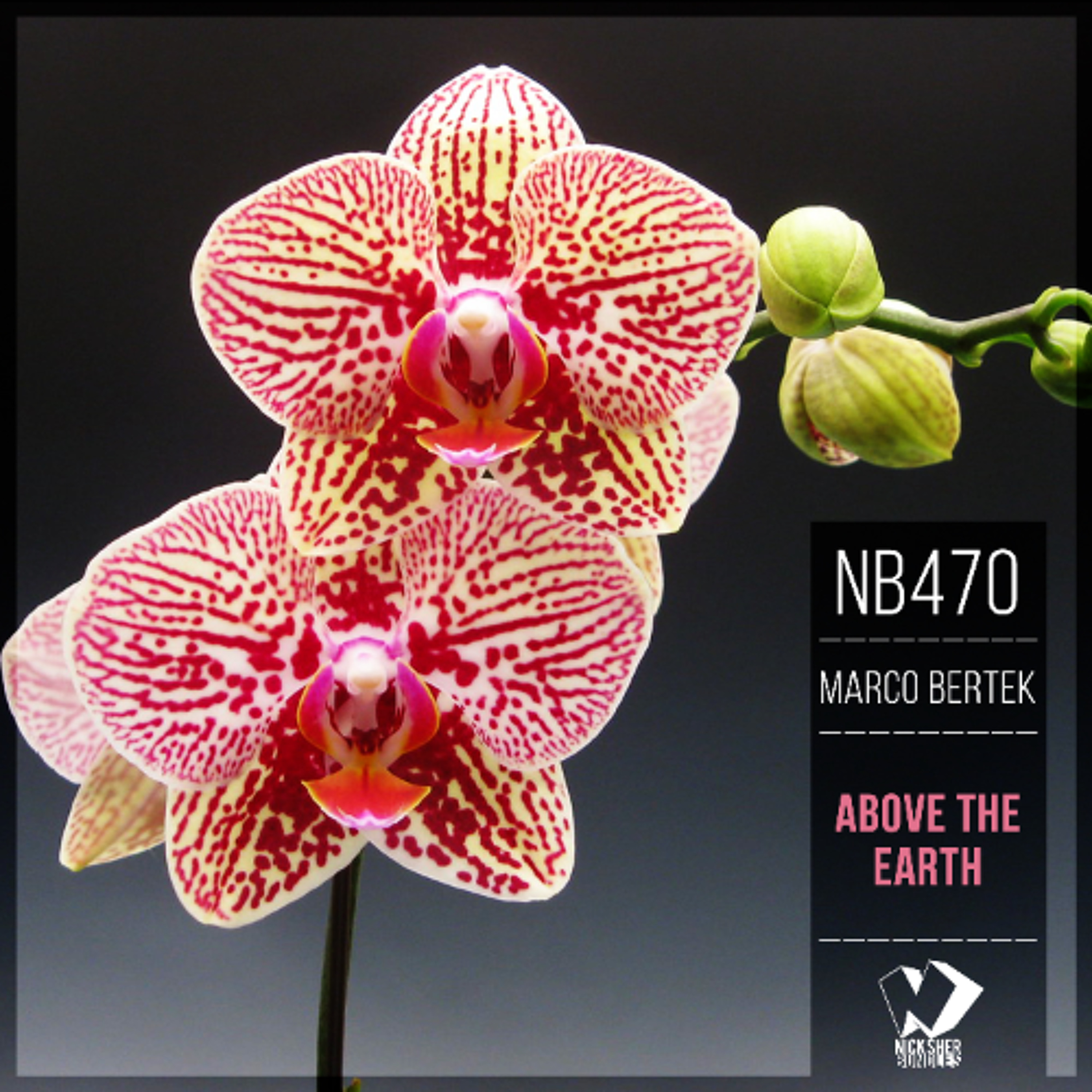 Marco Bertek - Above the Earth (Original Mix) episode artwork