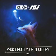 Enarxis & Anty - Fade From Your Memory **7SD Records**