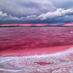 Pink Sea