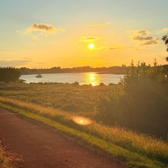 Sommer