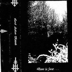 Aäkon Këëtrëh - Untitled 07 - Album "Dans La Forêt..." (432Hz)