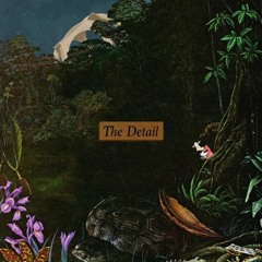 The Detail (Cover)