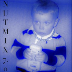 Nut Mix 7.0