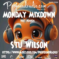 #86 Profound Radio  Progressive House @djstuwilson