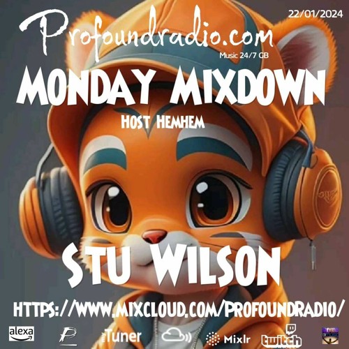 #86 Profound Radio  Progressive House @djstuwilson