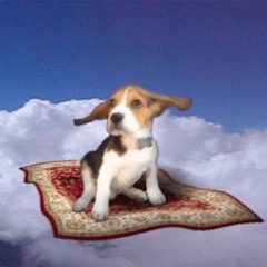 Did It Again ft Big Lev (2024)