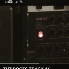 TNT ROOTS TRACK 16