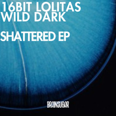 16 Bit Lolitas & Wild Dark - We are People (BrainSugar Recordings)
