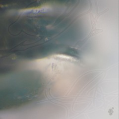 PREMIERE⚡️ergen101 - Morph [Sensory Cells]