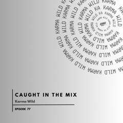CAUGHT IN THE MIX - 77