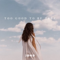 Too Good To Be True