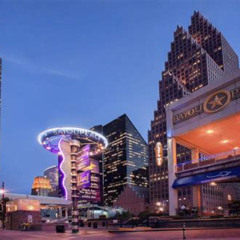Best Fun Things For Adults To Do In Houston Tours Reviews
