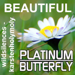 Platinum Butterfly - Beautiful feat Wildsilences and Karstenholymoly (remastered)