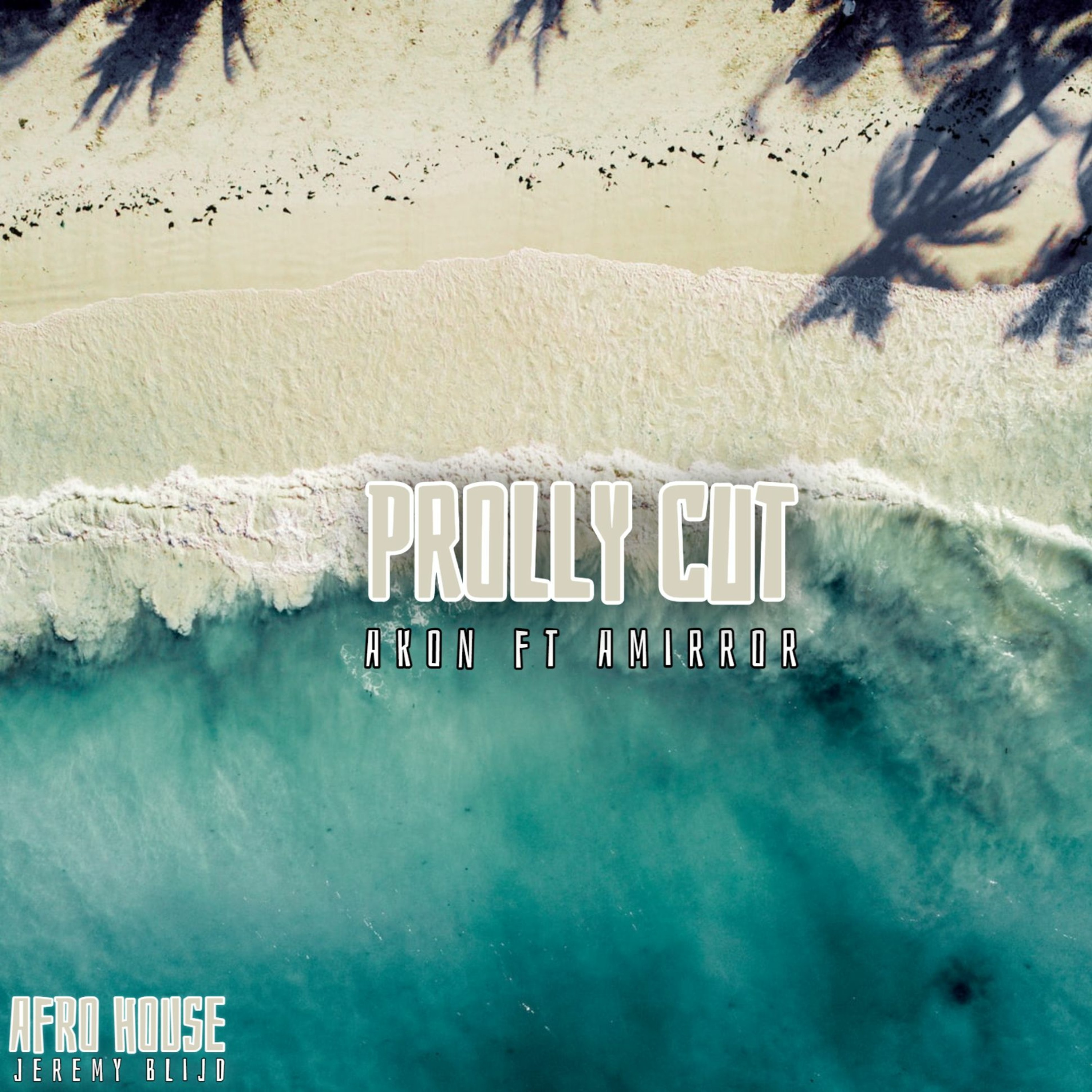 House, Afro, Moombahton, Latin, EDM