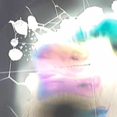 white monkey walking