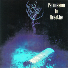 (Leanin' On) Neil Young's Soul