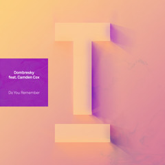 Do You Remember (Extended Mix) [feat. Camden Cox]