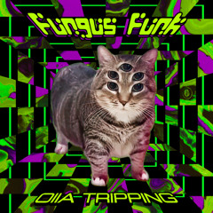 Fungus Funk - Oiia Tripping [sample]
