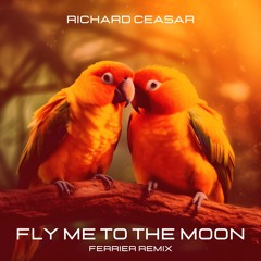 Fly Me to the Moon (Ferrier Remix)