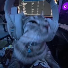 MAGIX(SLOWED)