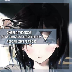 TSUNA AWAKENS KATEKYO HITMAN REBORN (EDM VERSION)