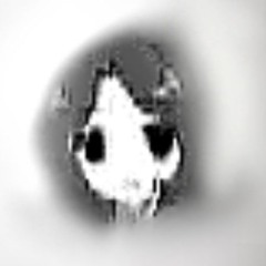 WGID: When Gabe Is Drawing