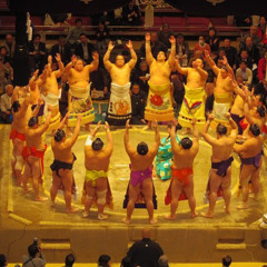 Review Top Tokyo Sumo Wrestling Tournament Experience - Chair Seat