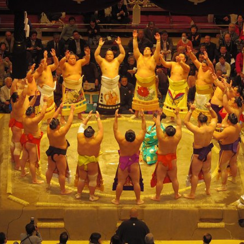 Review Top Tokyo Sumo Wrestling Tournament Experience - Chair Seat