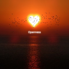 Openness